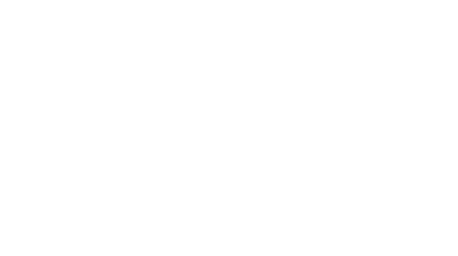 ADULTOS